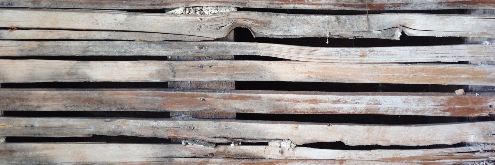 ninacorfu's profile banner image