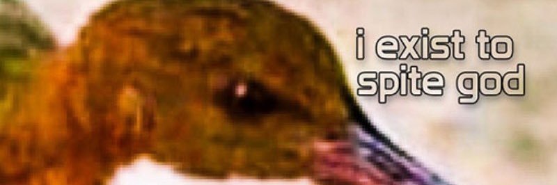 Greysloth59's profile banner image