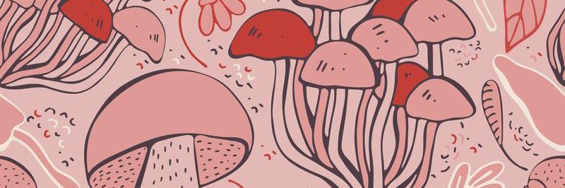 KlSSYKIWI's profile banner image