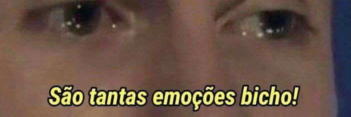 tainarapegoraro's profile banner image