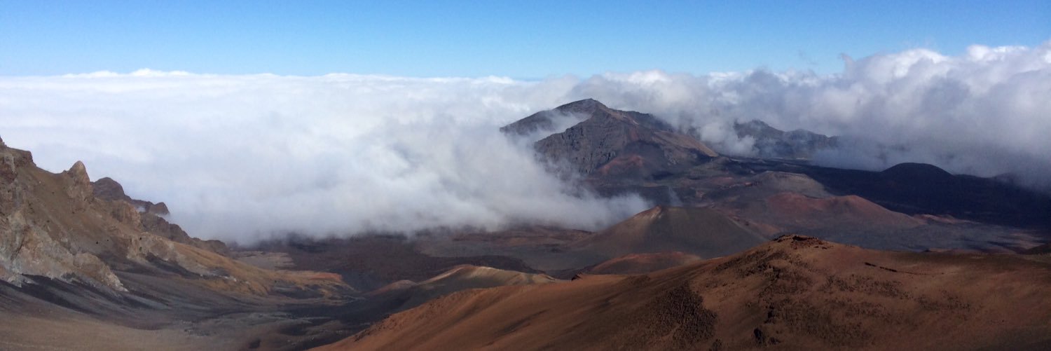 Alexander Wong banner