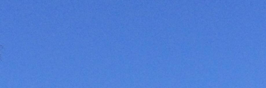 Brett Nicholls banner