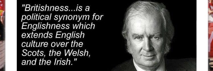 “Extremist” Tim Boyle 🏴󠁧󠁢󠁷󠁬󠁳󠁿 banner