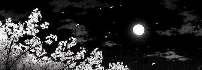 lauraaisabelaa's profile banner image