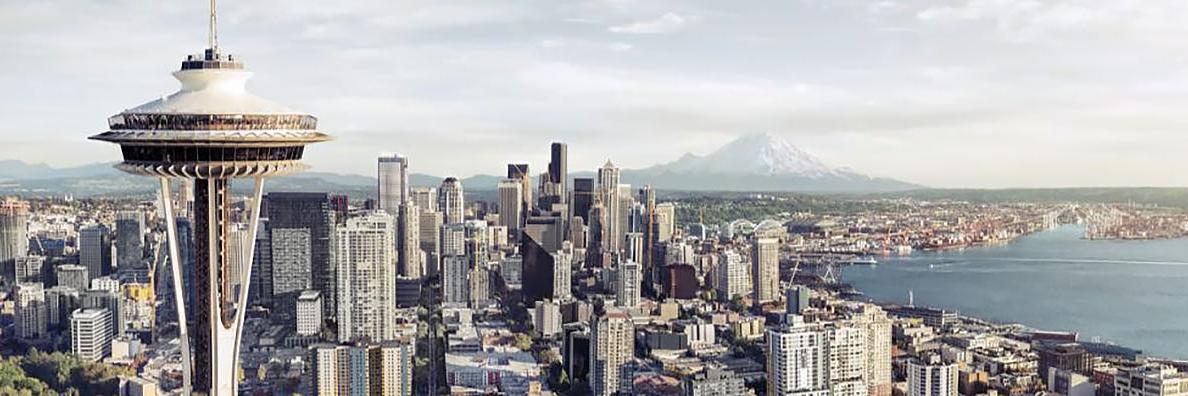 Texan in Seattle banner