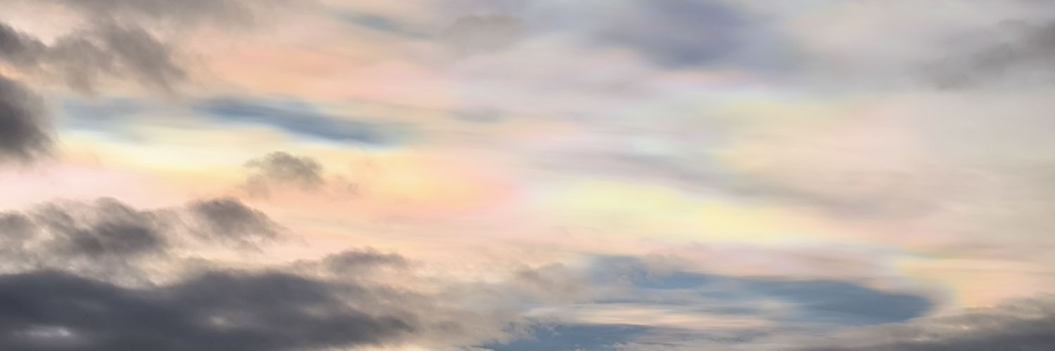 tigerseb77's profile banner image