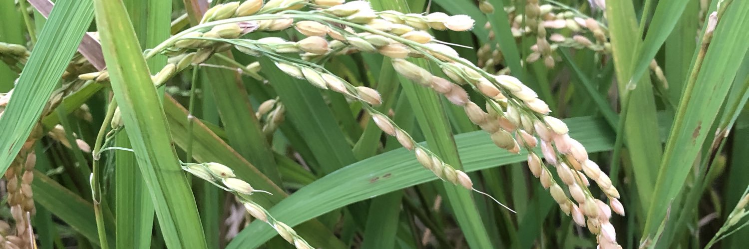 rsm60038's profile banner image