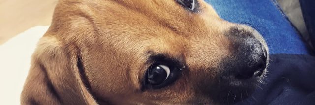 Julia_hx's profile banner image