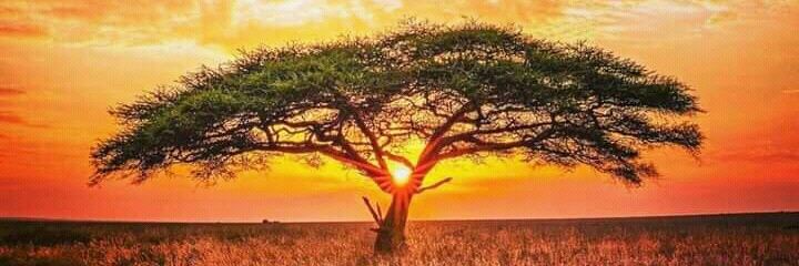 KenWadauti's profile banner image