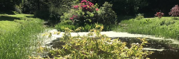 Davies7J Profile Banner