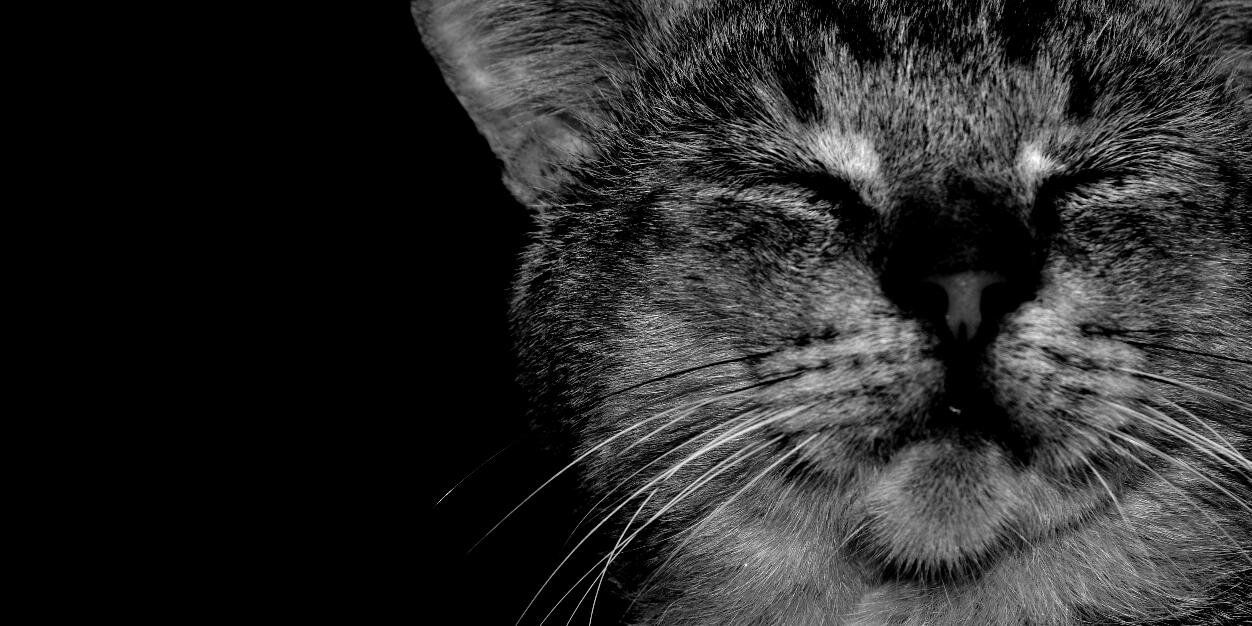 blackwhitegraph's profile banner image