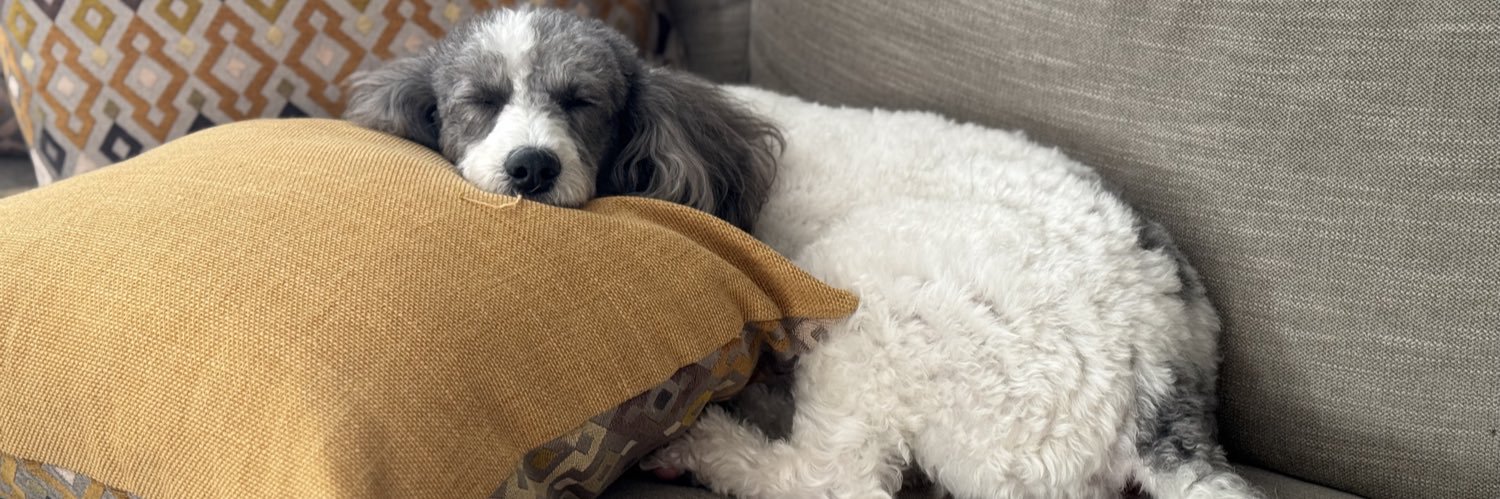 Ramanan Raghavendran banner