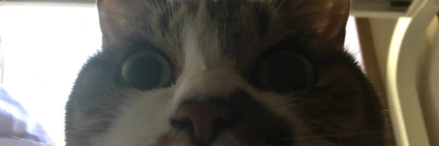 8bitter036's profile banner image