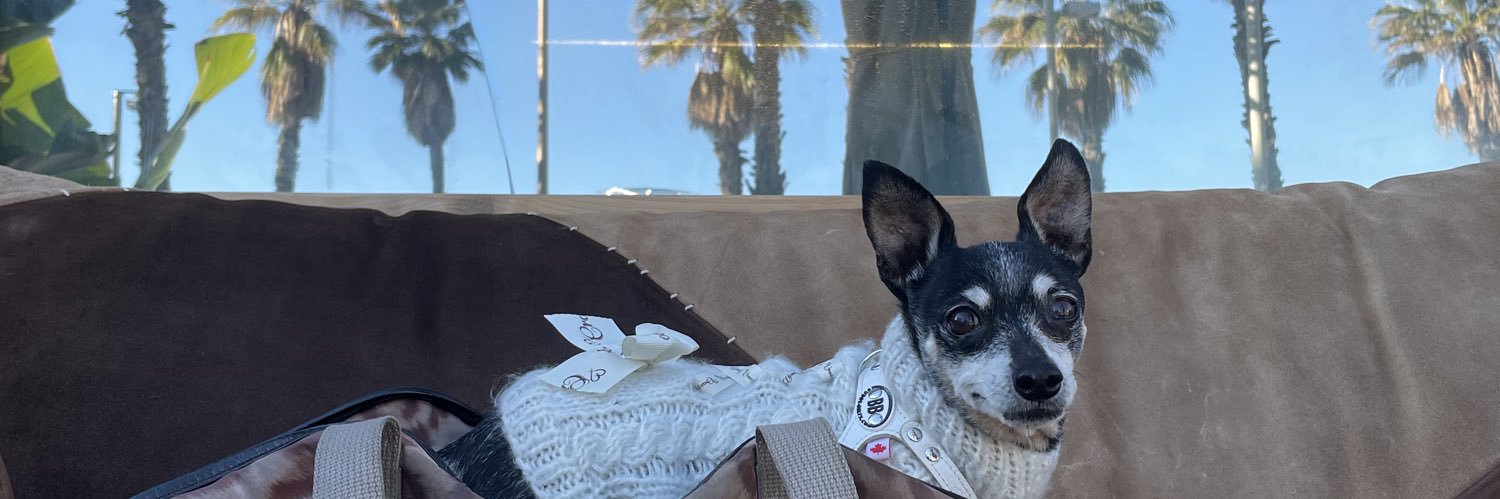 sucrelluna's profile banner image