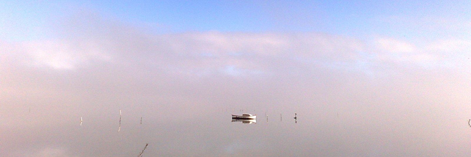 Rafael Diverio's banner