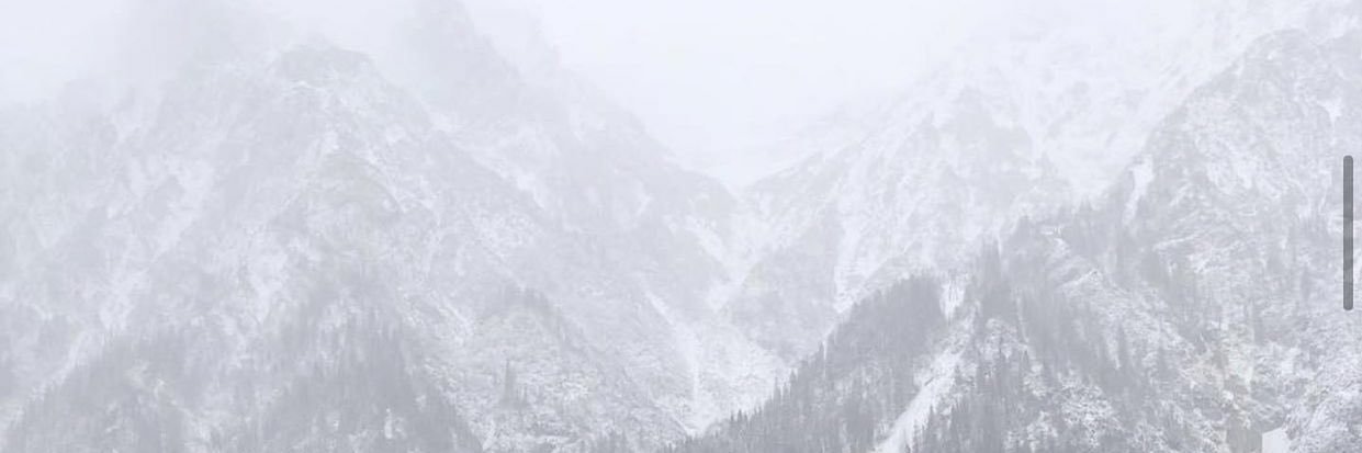 wtfj0se's profile banner image