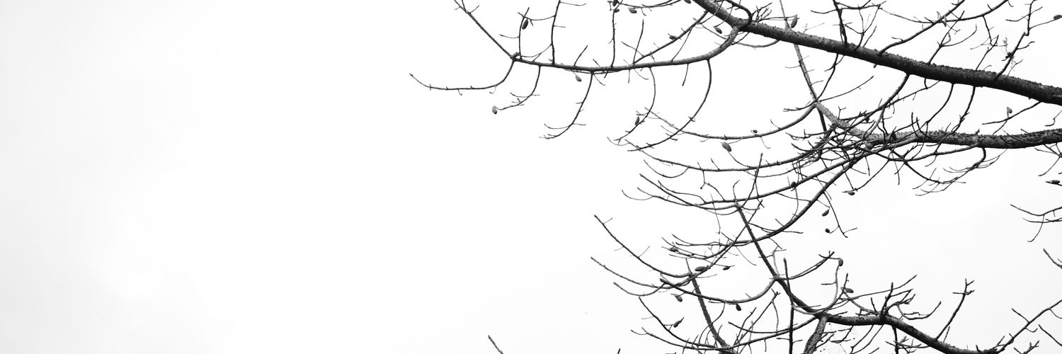 ksvha_'s profile banner image