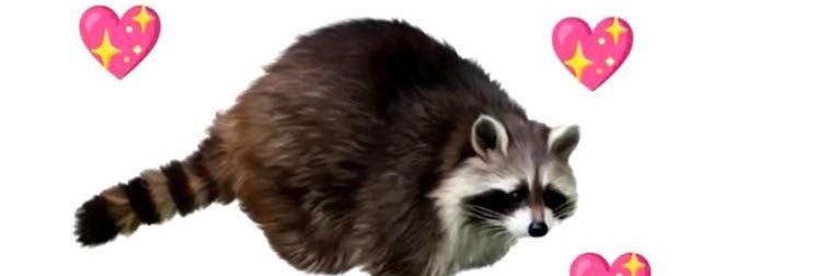 LeBigKarma's profile banner image