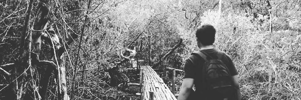Evilisanass's profile banner image