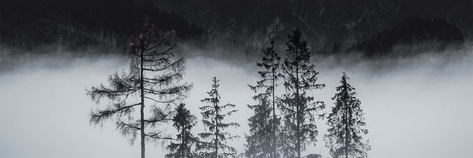 impossibbley's profile banner image