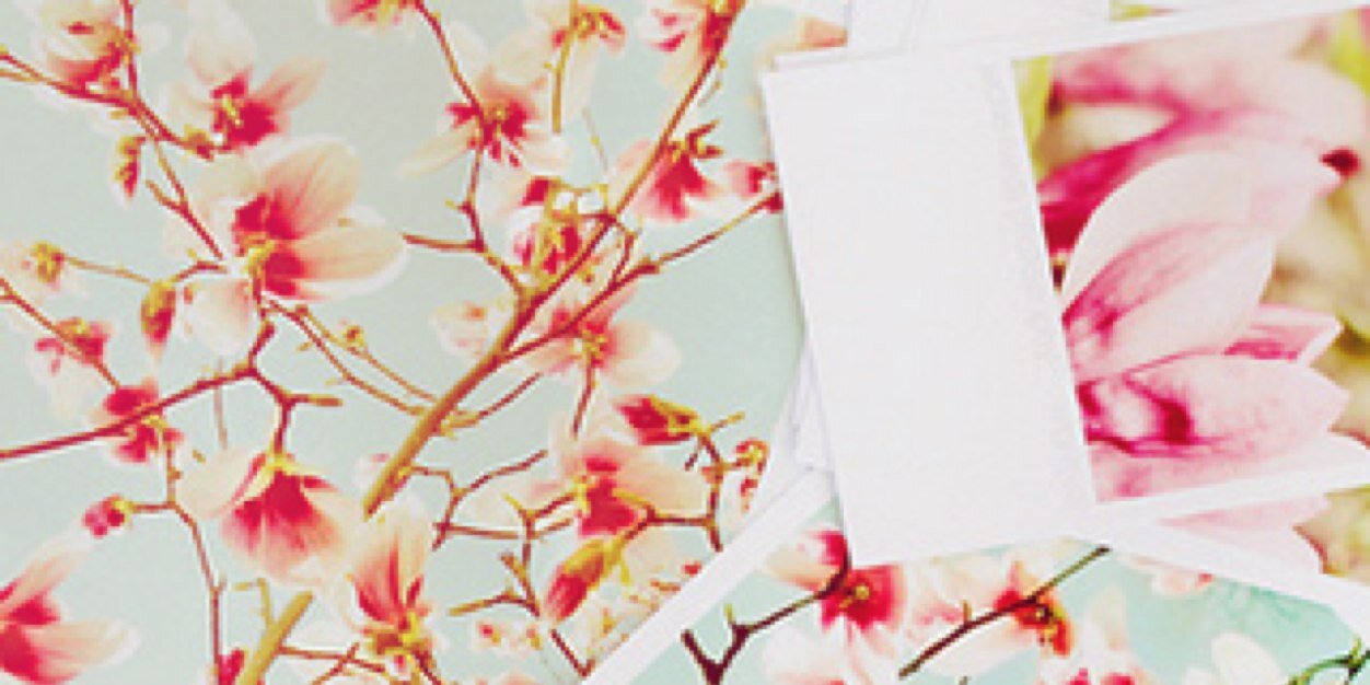 تواقوُن للجَّنة ☂ banner