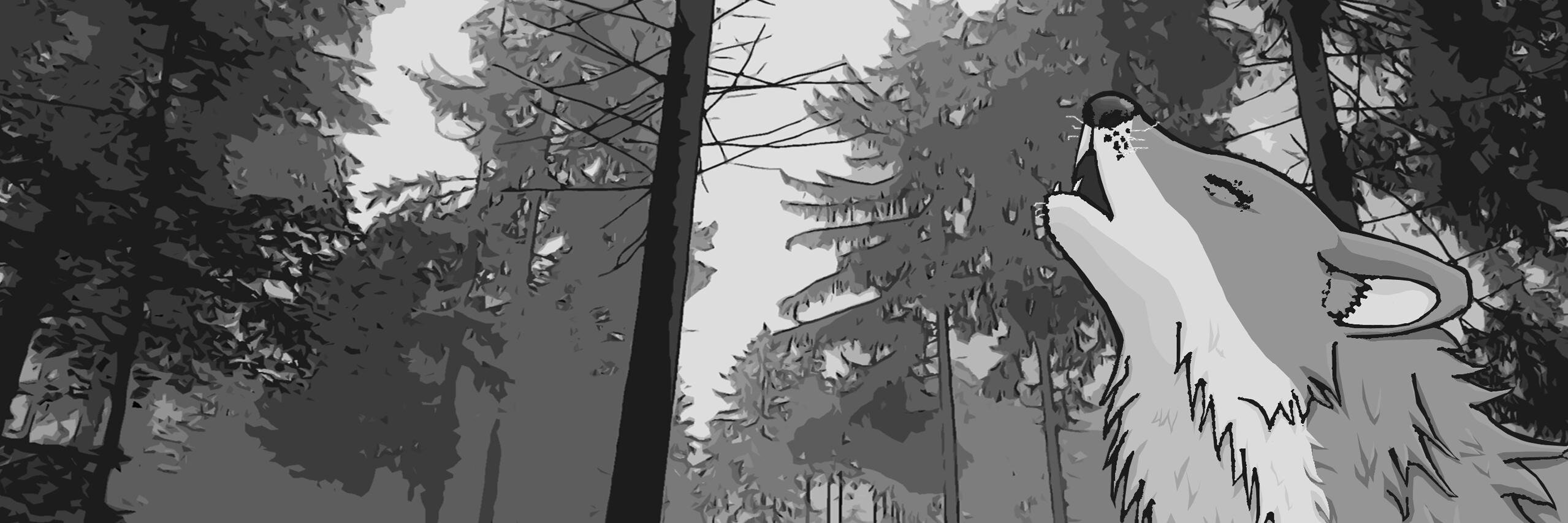 Inqui117's profile banner image
