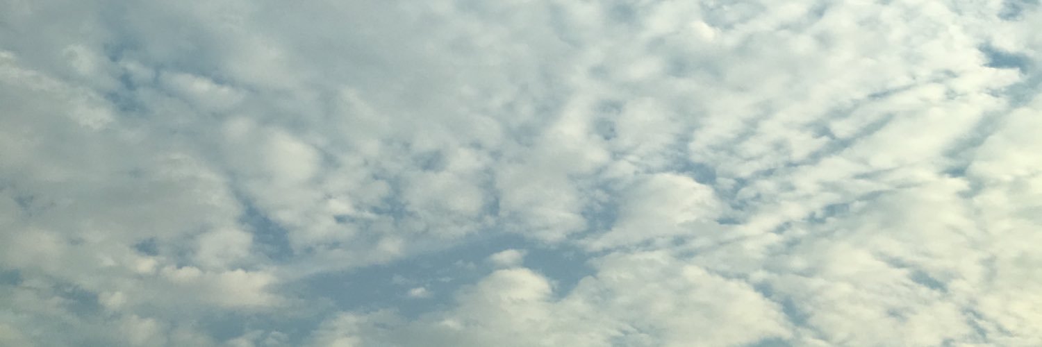 211 banner