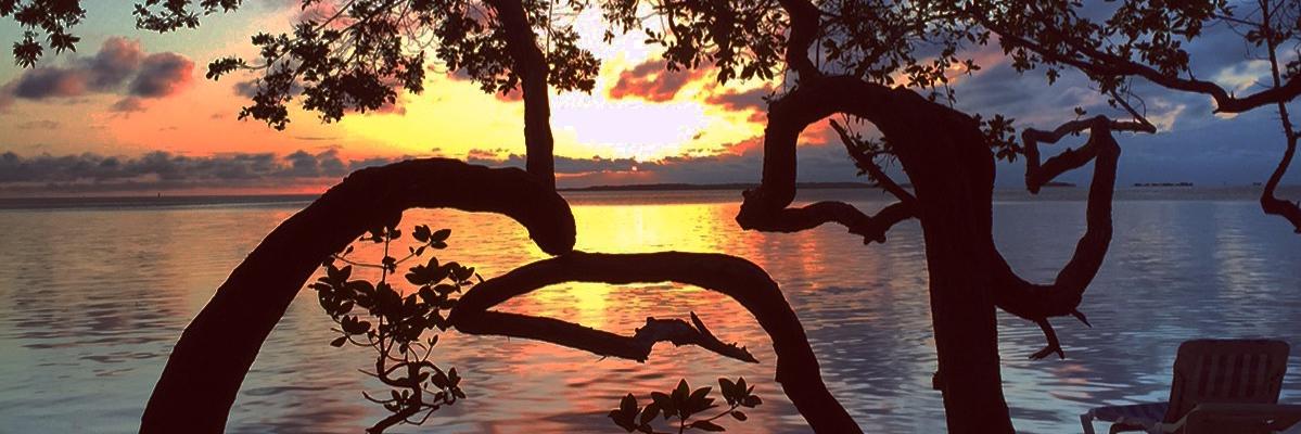 ejrabell's profile banner image