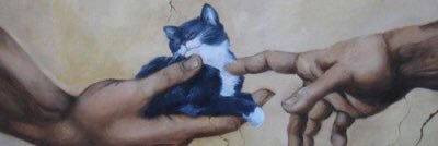 AshlynFong's profile banner image