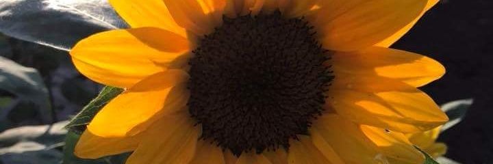 bluejm22's profile banner image