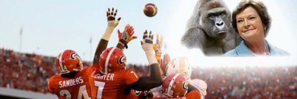 VolsTim85 Profile Banner