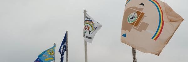 Luree Lansing banner