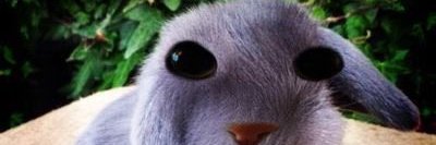the_thebug11's profile banner image