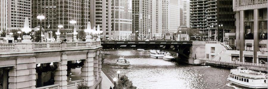Laura B banner