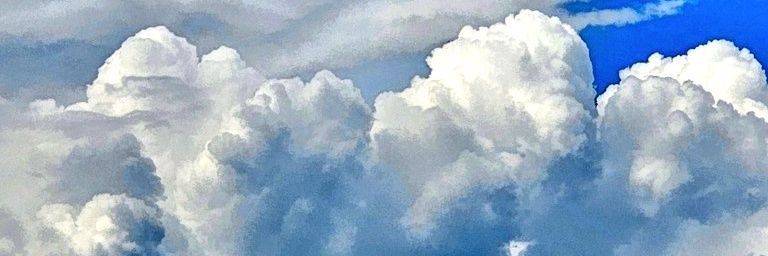 Carlac_Bird's banner
