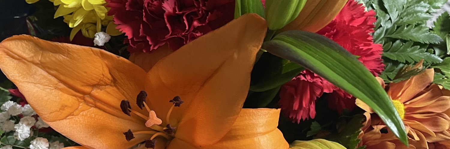 isa_1300's profile banner image