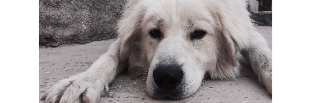 Ekinzbek1's profile banner image