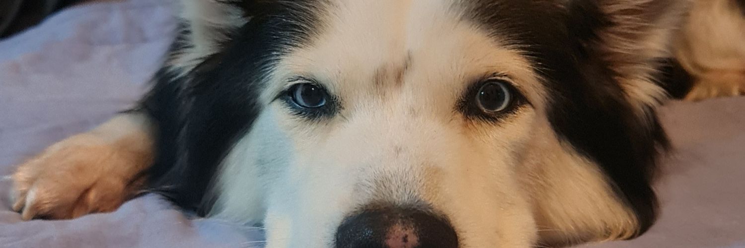 SebastianB_03's profile banner image