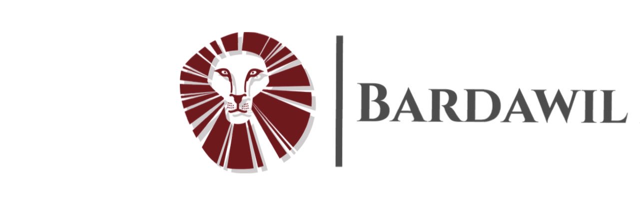 BARDAWIL's profile banner image