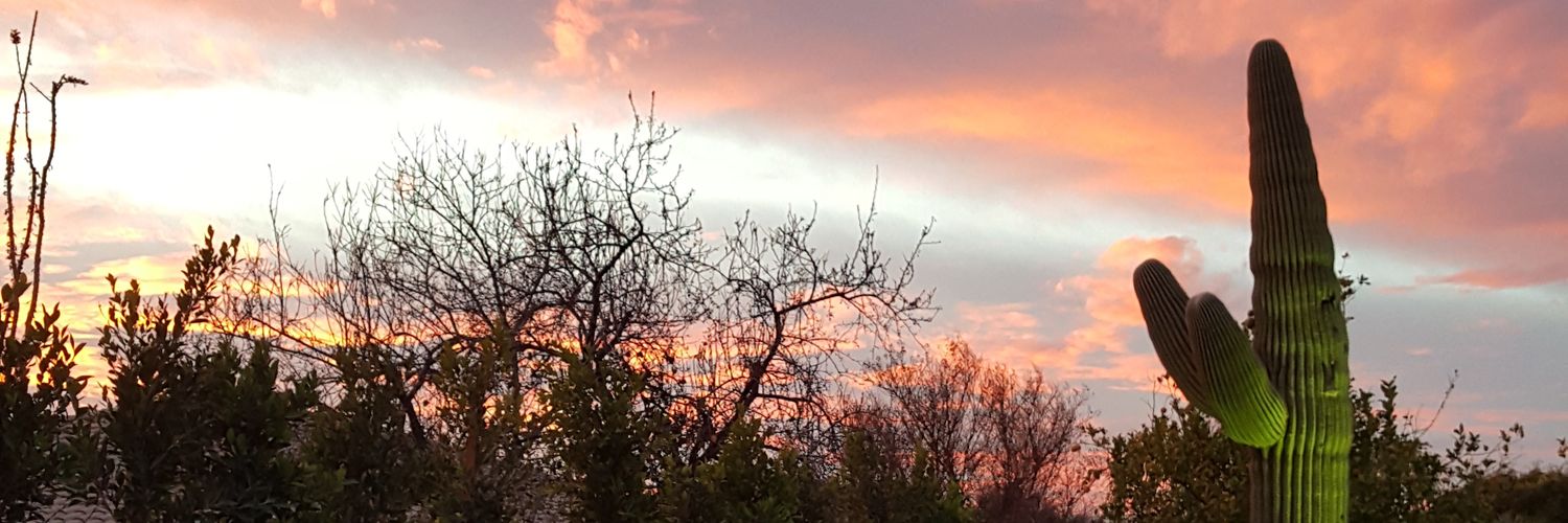 sarasep1's profile banner image