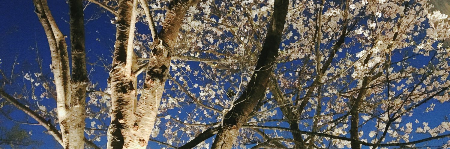 hima_126's profile banner image