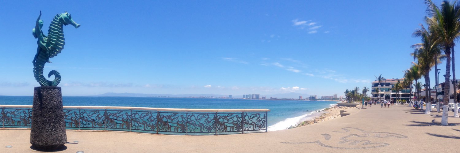 catherine mack 🌻 banner