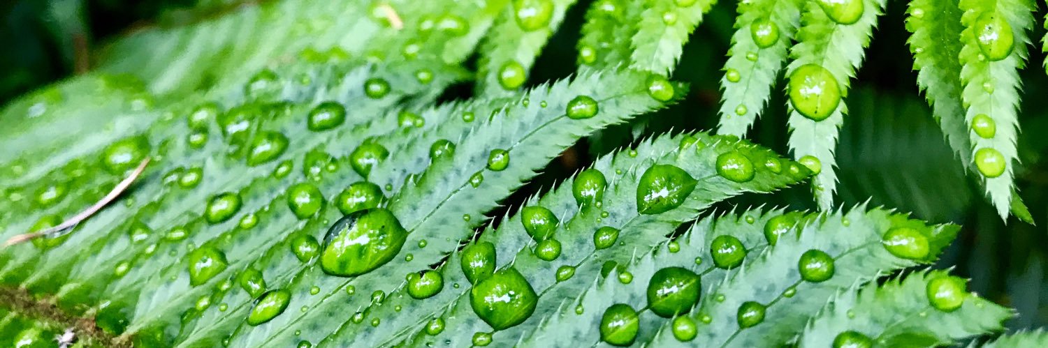 Andrew Rathwell banner