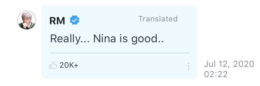 nina banner