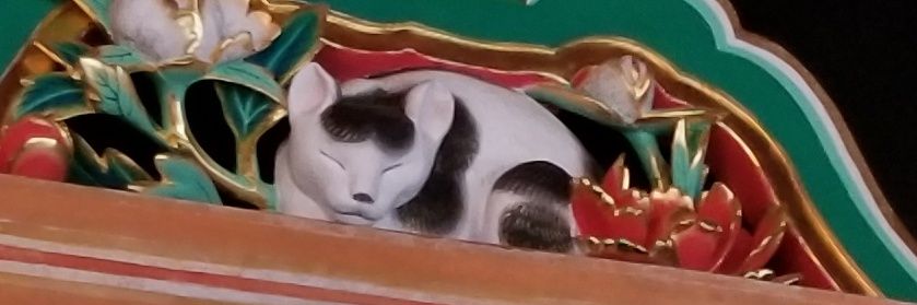 miisuke_nyan's profile banner image