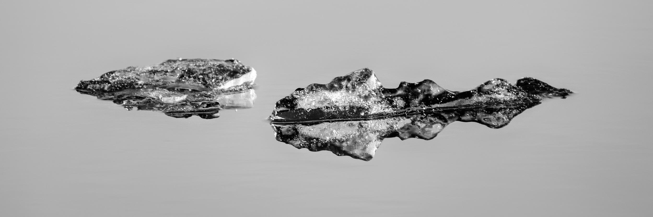 ElliePinney's profile banner image