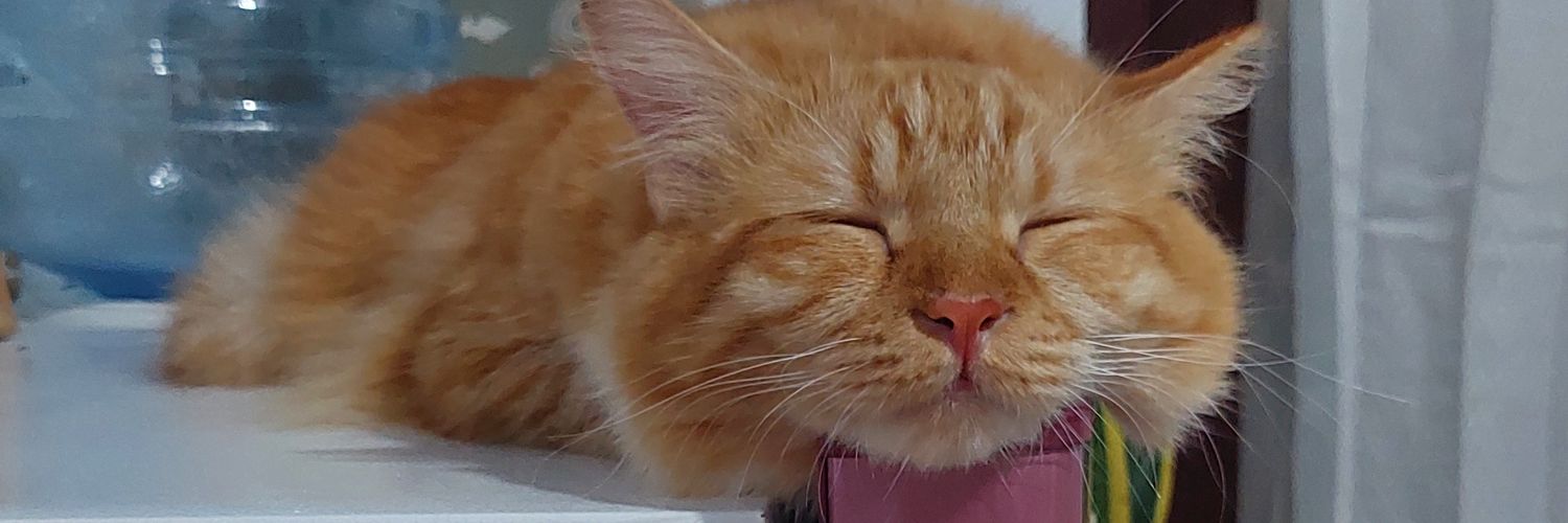 monmauve's profile banner image