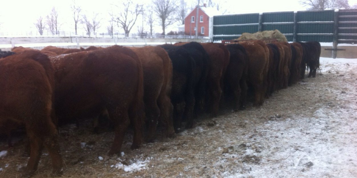 Justin Burgess banner