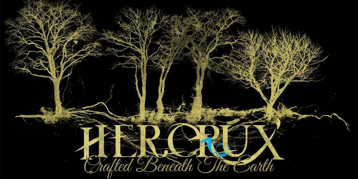 HercruxID's profile banner image