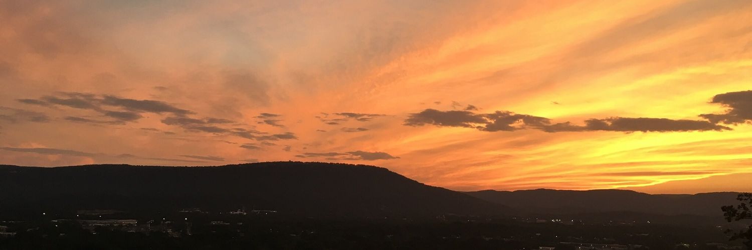 NancyNason7's profile banner image